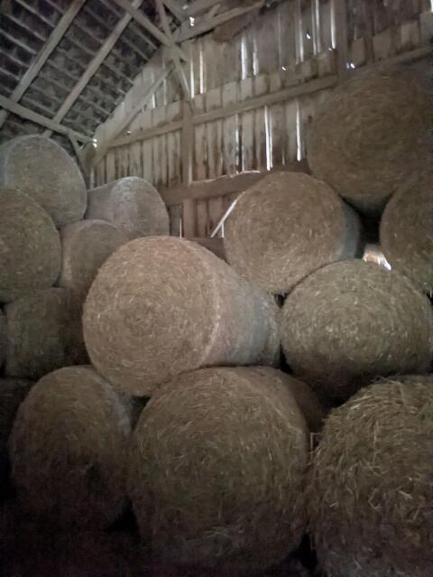 Stroh-Rundballen