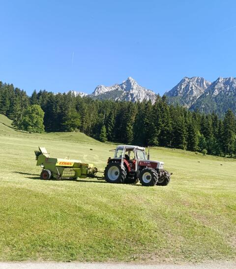 Pressen von Kleinballen, HD-Ballen, Claas Markant 50