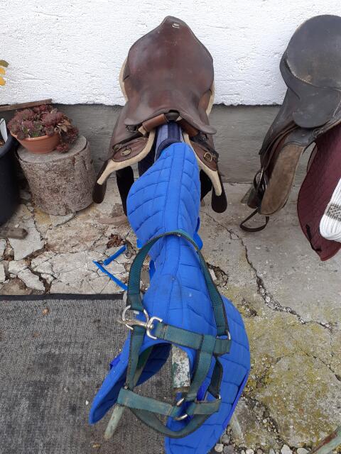 Reitsattel