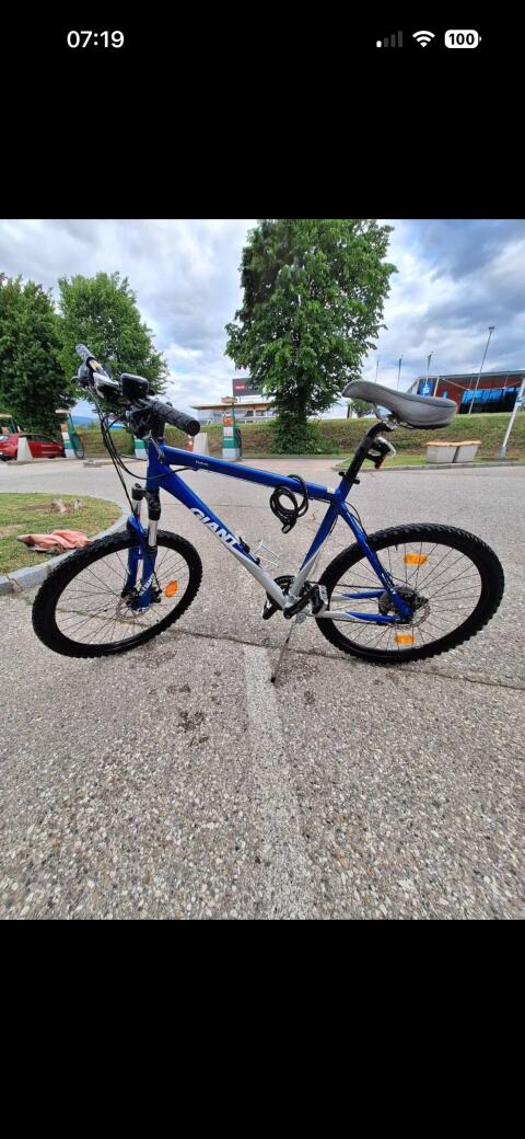 Fahrrad Giant