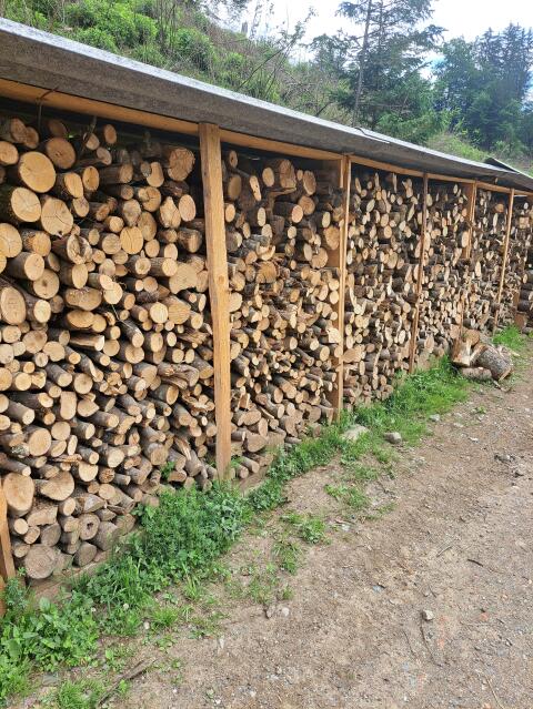 Brennholz
