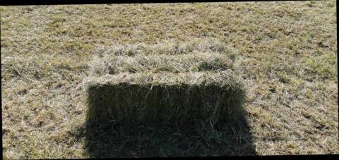 Heu in Kleinballen abzugeben