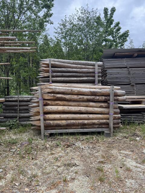 Zaunsteher und Rundholz aus Lärchenholz