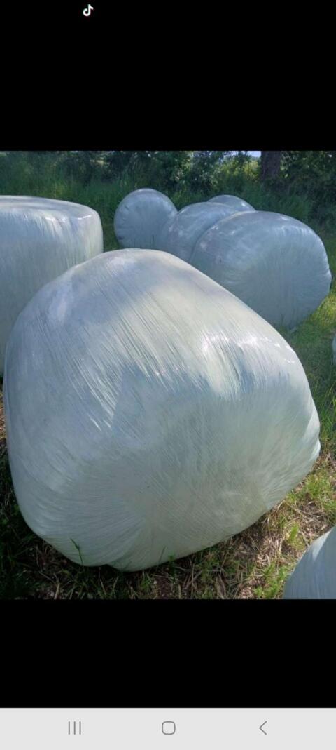 Silo-Ballen