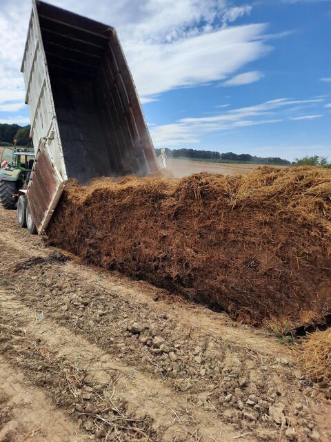 Hakenliftcontainer, Abrollcontainer 31 m³