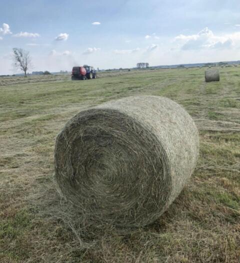 Heu Rundballen