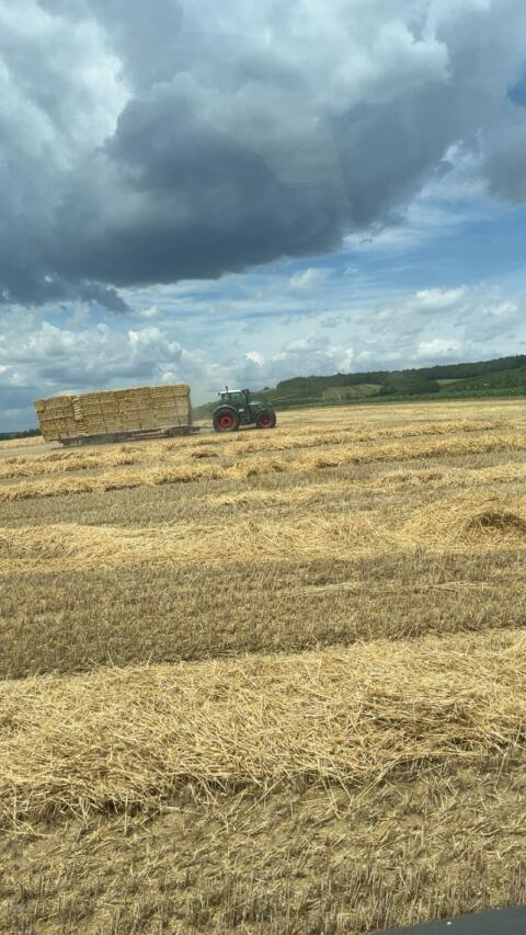 Suche Stroh ab Feld, Ernte 2026