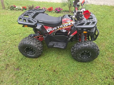 Quad 1.500 Watt, neuwertig, 45 kmh