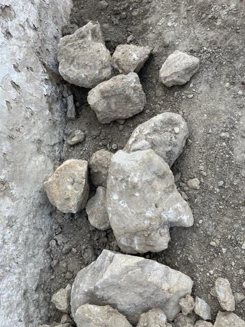 Sandsteine, Kalksteine zu verschenken
