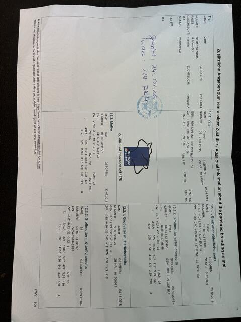 HF Stier