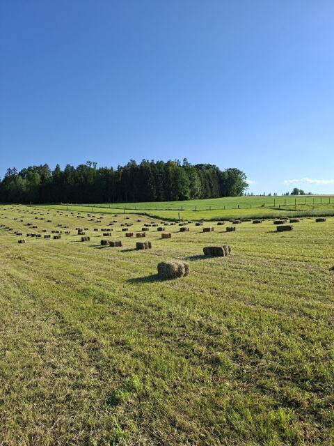 Kleinballen Heu und Stroh