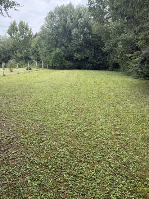 Suche Landwirt für Pflügen dieses Feld