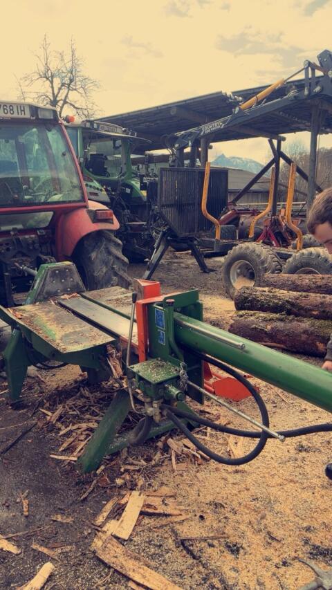 Posch Holzspalter liegend