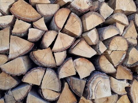 Brennholz Buche