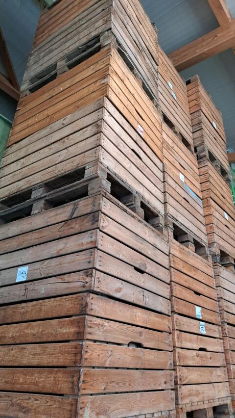 Großkisten aus Holz