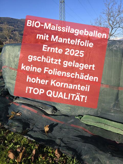 Bio-Maissilageballen