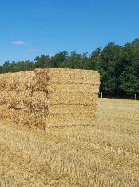 Stroh, Heu