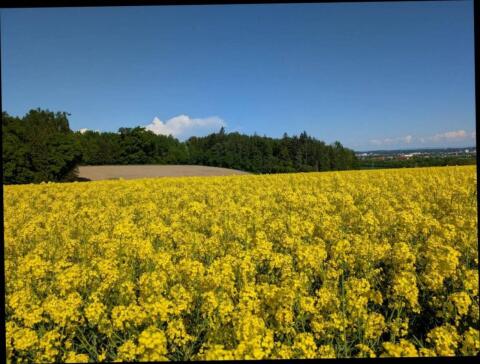 Pachtflächen