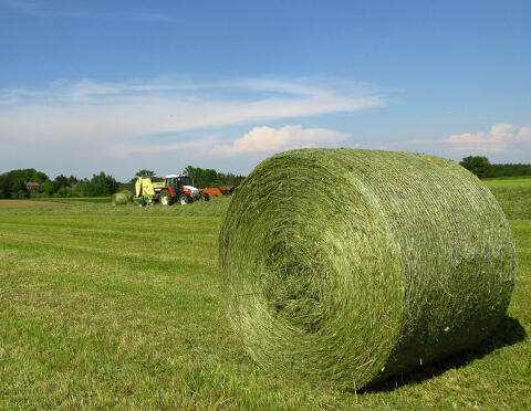 Suche Heuballen