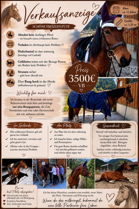 Pony-Stute