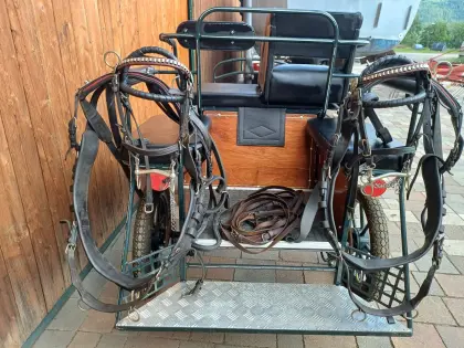 Ponykutsche mit Zweispännergeschirr