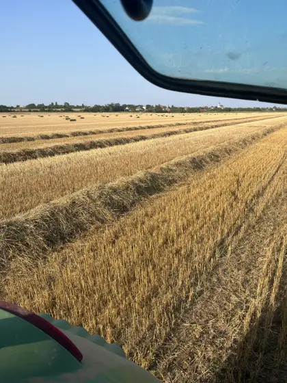 Suche Stroh ab Feld, Ernte 2026
