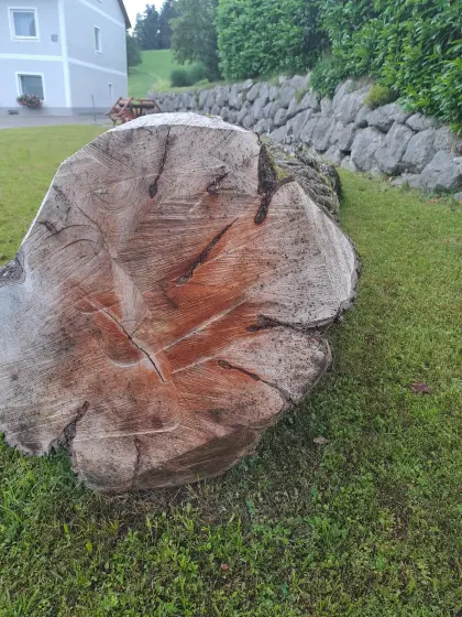 Verkaufe schönen Birnenstamm