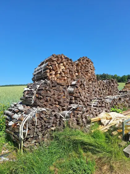 Birkenbrennholz
