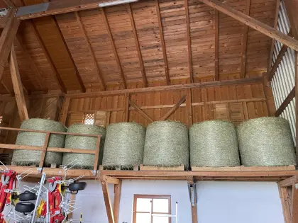 Verkaufe Heuballen 1. Schnitt