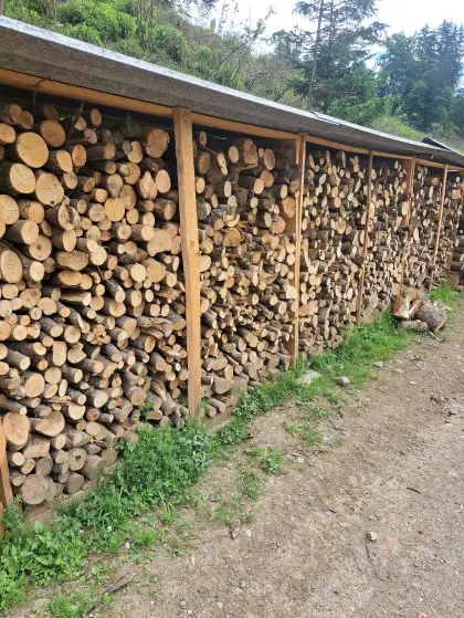 Brennholz