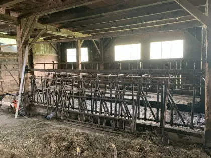 Aufstallung, Fressgitter für Rinder