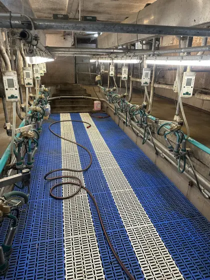 Gea Fischgrät Melkstand 2x5