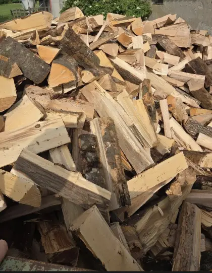 Frisches Buchenholz, ofenfertig