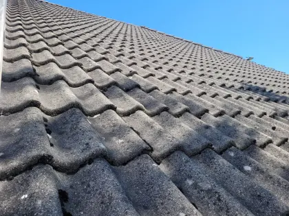 Dachziegel Bramac Donauwelle