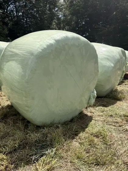 Verkaufe Siloballen