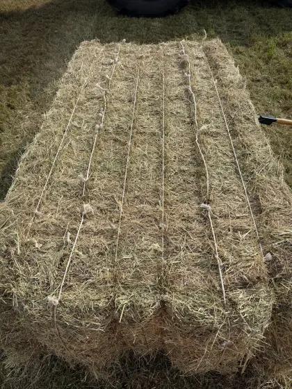 Heu Krone MultiBale Quaderballen