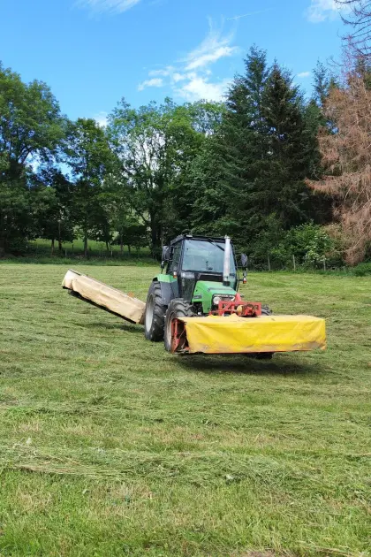 Suche Mähflächen