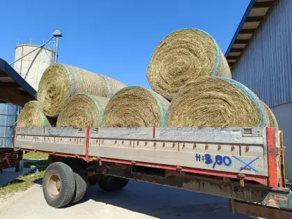 Heu Rundballen 150 cm Dm.