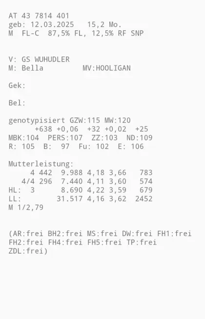 Bio FV Stier