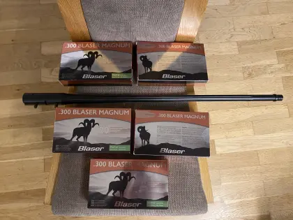Blaser R8 WL inkl. 100 Schuss