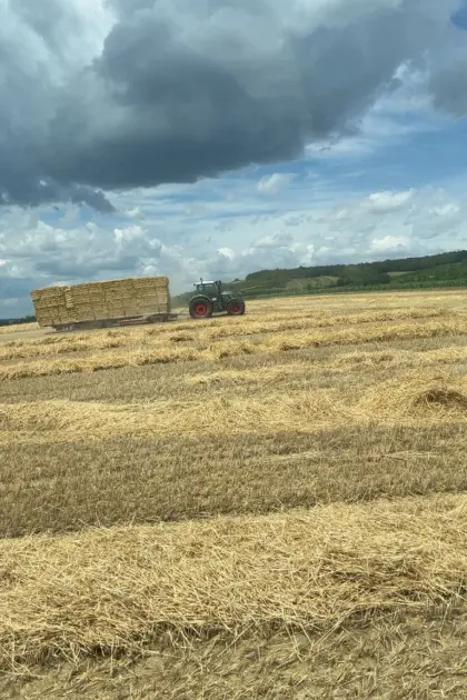 Suche Stroh ab Feld, Ernte 2026