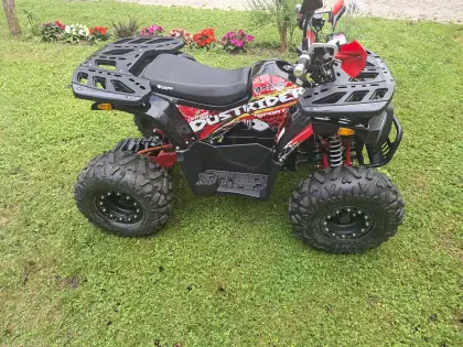 Quad 1.500 Watt, neuwertig, 45 kmh