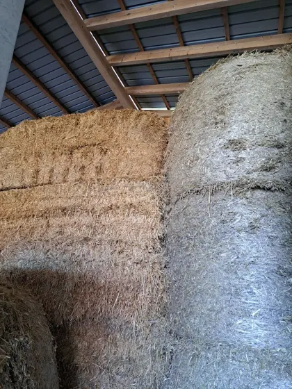 Strohballen rund und eckig