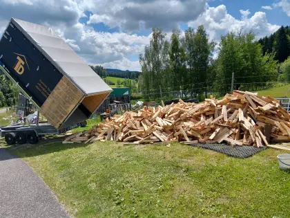 Brennholz, Kaminholz Birke, Buche und Weichholz gemischt