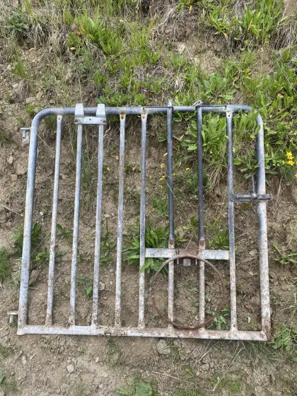 Kälberboxen