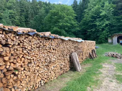 Mischholz