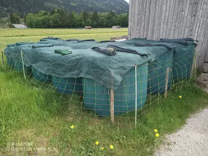 Silo-Rundballen (3. Schnitt 2025) unverregnet abzugeben.