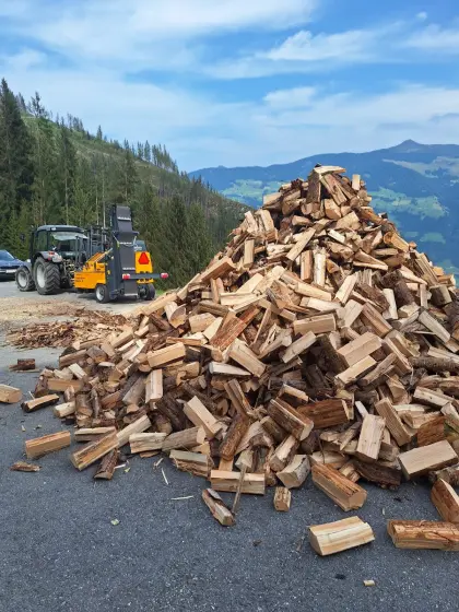 Buchen- und Fichten-Brennholz