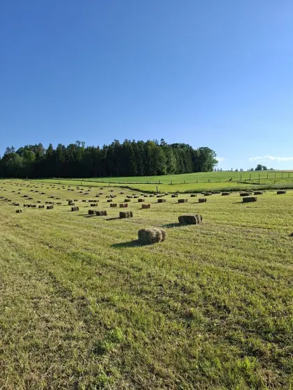 Kleinballen Heu und Stroh