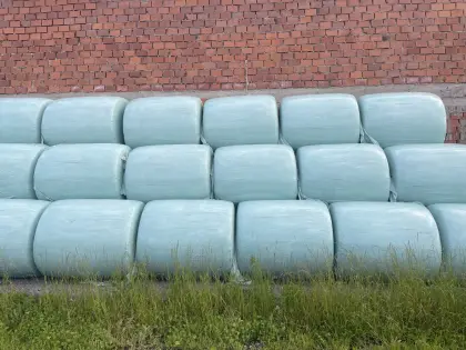 Maisballen